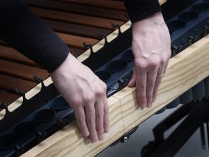 LOCKING RAIL SYSTEM 3