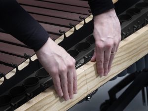 LOCKING RAIL SYSTEM DEMO 3
